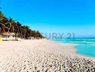 La Plaza De Paraguachí, Nueva Esparta 6301, Venezuela