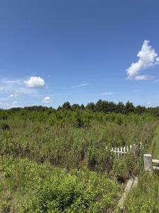 175 Dove Rd., Loris, Caroline Du Sud 29569, États-Unis