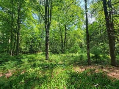 VL Whitney, Beaverton, Michigan 48612, Stati Uniti