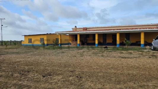 Soledad, Anzoategui 00001, Venezuela