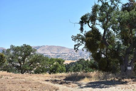 22948 Rim Way APN 289-220-13-00-7, Tehachapi, كاليفورنيا 93561, الولايات المتحدة