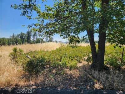 13602 Andover, Maga, California 95954, Stati Uniti