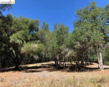 21930 Lyons Bald Mountain, Sonora, Californie 95370, États-Unis