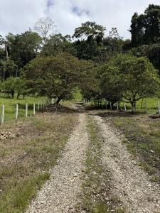 Santa Teresita , Santa Teresita Turrialba, Cartago 30505, Costa Rica