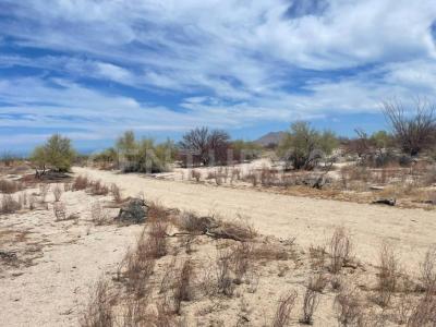 Mexicali, Basse-Californie 21850, Mexique
