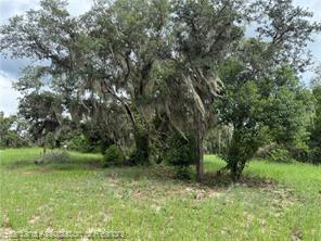 142 E Raymond Street, Avon Park, Florida 33825, USA