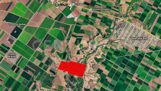 Guasave, Sinaloa 81110, Mexico