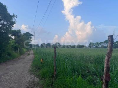 Yanga, Veracruz 94930, Mexico