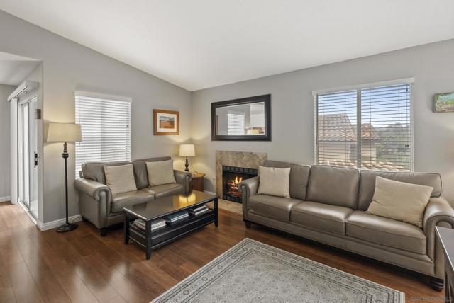 7439 Altiva Place, Carlsbad, 加州 92009, 美國