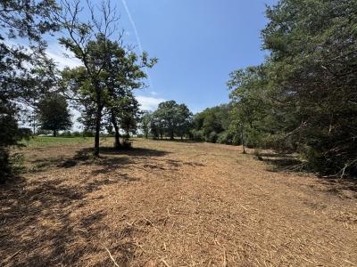 Lot 0 Watt Abbitt Road, Appomattox, Virginia 24522, USA