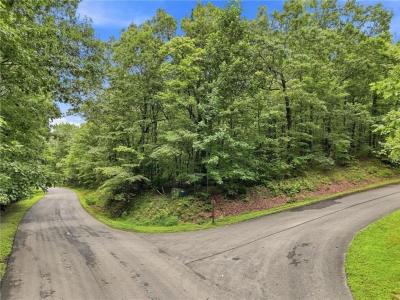 St Andrews Way lot: 197, Ellijay, Georgia 30536, USA