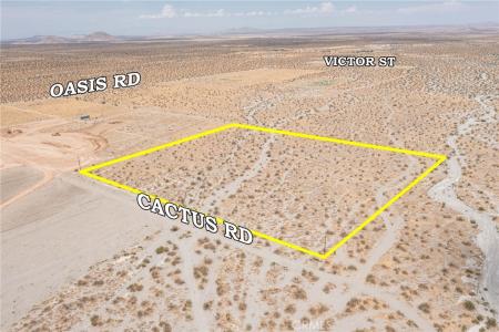 31001215 Cactus Road, Pinon Hills, Californie 92372, États-Unis