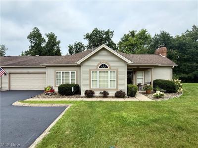 302 Wilcox Road, Youngstown, Ohio 44515, USA