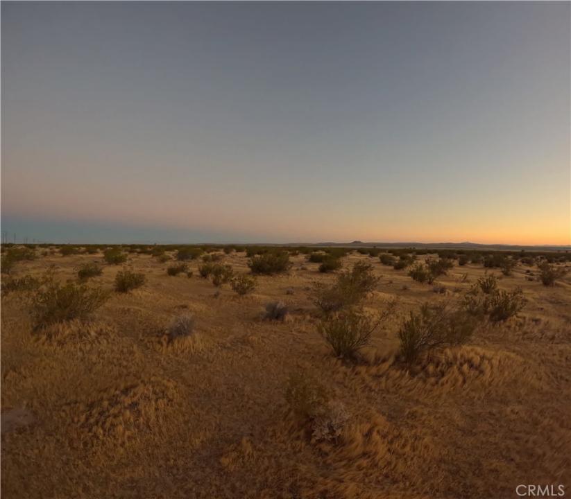 0 20 Mule Team Rd, Kramer Junction, California 93000