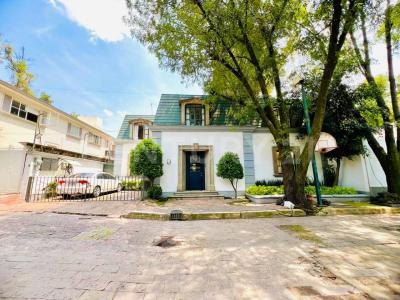 SAN AGUSTIN DE LAS CUEVAS 10,, Coyoacán, Ciudad De México 04730, Mexico