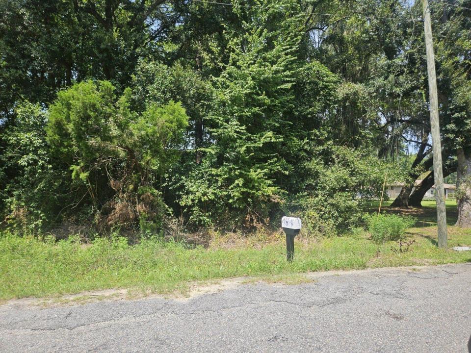 1123 Langdoc Street, Moncks Corner, South Carolina 29461, Stati Uniti