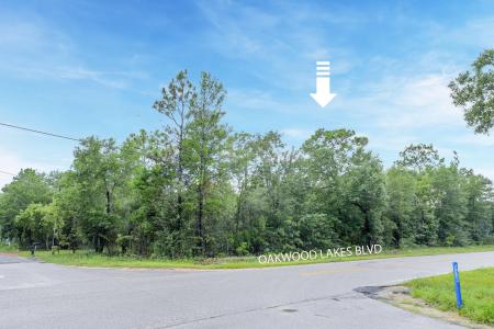 Lot 8 Oakwood Lakes Boulevard, Defuniak Springs, Floride 32433, États-Unis