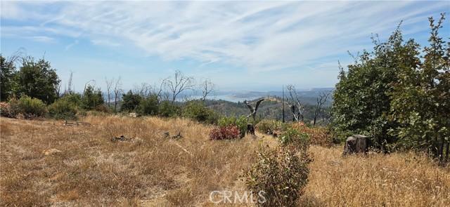 274 Webster, Bryc, California 95916