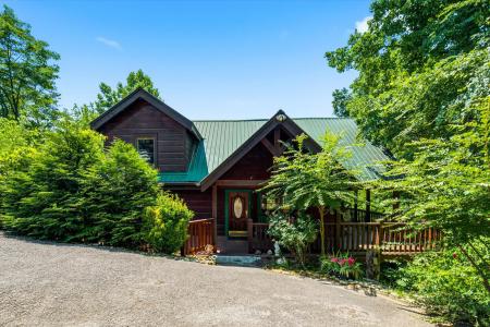 2606 Tree Top Way, Pigeon Forge, Tennessee 37863, USA