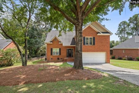 208 Winchester Court, West Columbia, South Carolina 29170, Stati Uniti