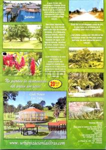 Las Liras, Porongo – Zona Terebinto , Urubo, Santa Cruz 00001, Bolivia