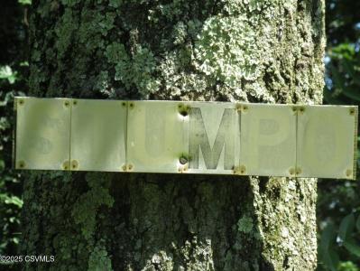 171 Evergreen Ln, Catawissa, Pennsylvania 17820, USA