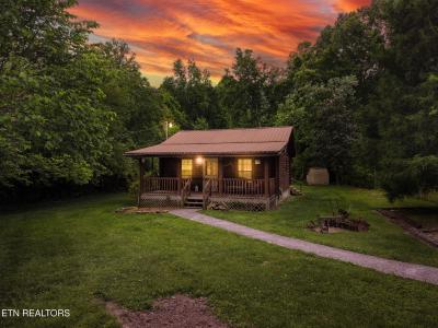 157 Odd Fellow Cemetery Rd, Rockwood, Tennessee 37854, États-Unis