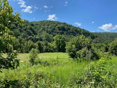 Parcel 29.03 Hatfield Road, Tazewell, Tennessee 37879, USA