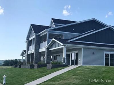 22595 Bayview, Hancock, Michigan 49930, Stati Uniti