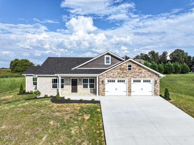 71 Clear Mountain Trail, Greeneville, Tennessee 37745, Stati Uniti