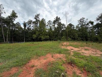 345 Friar Tuck Circle, Covington, Géorgie 30014, États-Unis