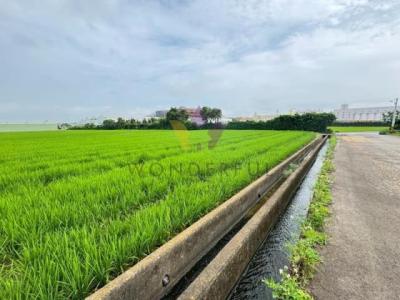 富岡段, 楊梅區, Taoyuan City 326, Taiwan