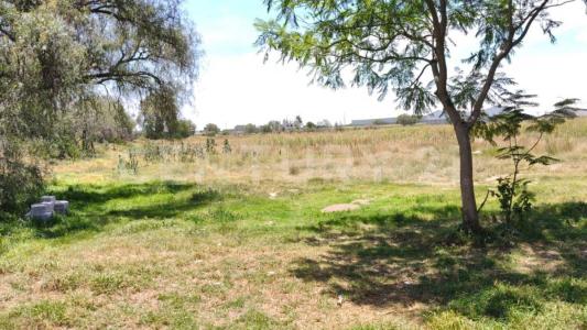 TERRENO EN VENTA PARA DESARROLLADORES O INVERSIONISTAS !!! .,, Tepeaca, Puebla 75200, Mexico