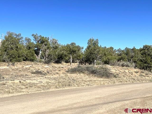 TBD Road P, Cortez, Colorado 81321, Estados Unidos