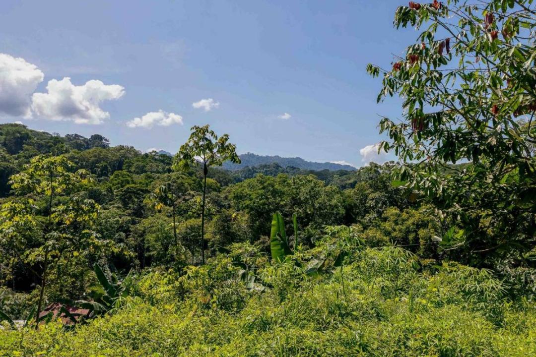 Naranjito Quepos, 蓬塔雷纳斯 60601, 哥斯达黎加