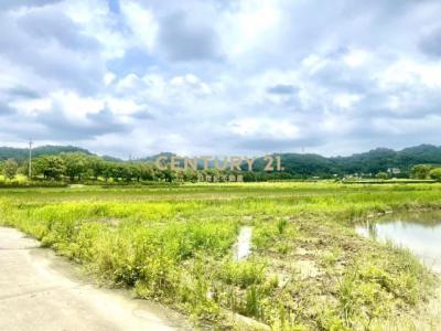 巨埔段, Xinpu Township, Hsinchu County 305, Taiwan