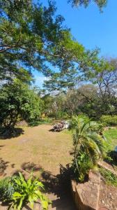 Americo Picco y Yeruti 3655, Villa Elisa, Central 00001, Paraguay