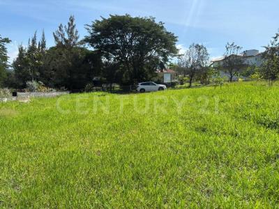 Paseo de las Lomas  Fracc Residencial Campestre, Zona Mágica L16 M2,, Comala, Colima 28459, Mexique