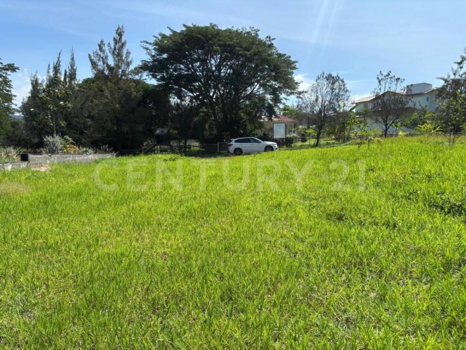 Paseo de las Lomas Fracc Residencial Campestre, Zona Mágica L16 M2,, Comala, Colima 28459, Mexique