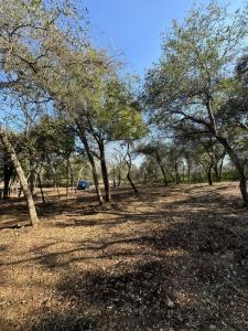 Montemorelos, Nuevo León 67617, Mexique