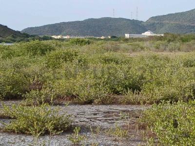 San Jose terreno residencial, Pedro González, Nueva Esparta 6320, Venezuela