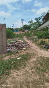 5 de julio terreno, Juan Griego, Nueva Esparta 6301, Venezuela