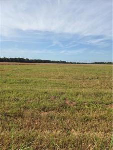 TBD Highway 494 Highway, Natchez, Louisiana 71456