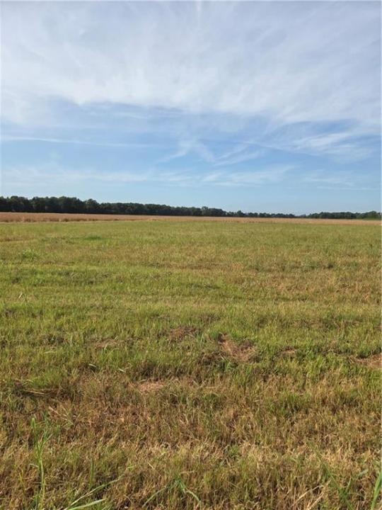 TBD Highway 494 Highway, Natchez, 路易西安纳州 71456, 美国
