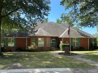 1541 Greenbrier Street, Cape Girardeau, Missouri 63701, Stati Uniti