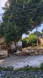 Del Escudo entre Del Arbol y Del Fuerte , Barrio Jara, Asunción 00001, Paraguay