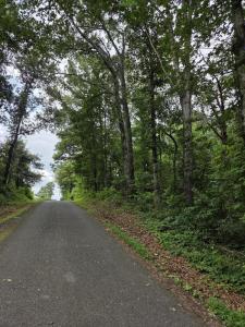 0 Co Rd 156, Riceville, Tennessee 37370, USA