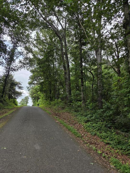 0 Co Rd 156, Riceville, Tennessee 37370, États-Unis
