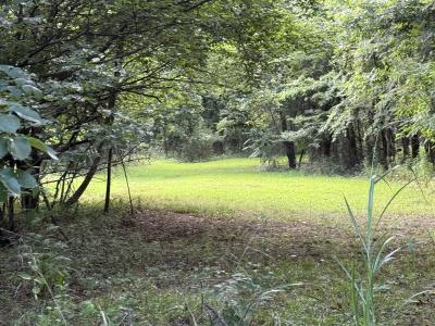 582 County Road 2291, Hartman, Arkansas 72840, États-Unis
