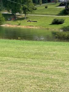 442 Noe Road, Bean Station, Tennessee 37708, USA